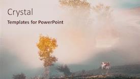  Presentation with autumn morning - PPT layouts featuring beautiful-foggy-autumn-morning-landscape background and a lemonade colored foreground