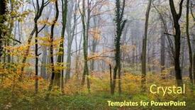  Presentation with foggy forest - Presentation theme with beautiful-foggy-forest-in-autumn background and a tawny brown colored foreground