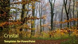  Presentation with foggy forest - Presentation theme enhanced with beautiful-foggy-forest-in-autumn background and a tawny brown colored foreground