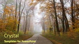  Presentation with foggy forest - Amazing slide deck having beautiful-foggy-forest-in-autumn backdrop and a tawny brown colored foreground