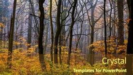  Presentation with foggy forest - Presentation theme enhanced with beautiful-foggy-forest-in-autumn background and a tawny brown colored foreground