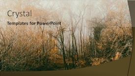  Presentation with foggy forest - Presentation design featuring beautiful-foggy-forest-in-autumn and a  colored foreground