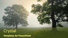  Presentation with foggy - Presentation enhanced with beautiful-foggy-morning-at-palessie background and a  colored foreground