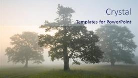  Presentation with foggy - PPT layouts having beautiful-foggy-morning-at-palessie background and a  colored foreground