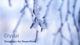  Presentation with winter wonderland - Slides consisting of beautiful-foggy-sunset-in-winter background and a sky blue colored foreground