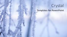  Presentation with winter wonderland - PPT theme with beautiful-foggy-sunset-in-winter background and a light blue colored foreground