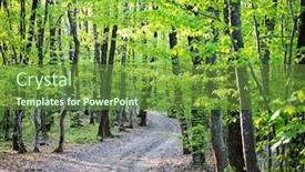  Presentation with shining forest - PPT layouts consisting of beautiful-forest-in-spring background and a tawny brown colored foreground