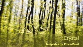  Presentation with shining forest - Presentation theme having beautiful-forest-in-spring background and a tawny brown colored foreground