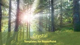  Presentation with shining forest - Audience pleasing slides consisting of beautiful-forest-in-summer backdrop and a tawny brown colored foreground