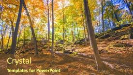  Presentation with fall color - Cool new slide deck with beautiful forest view with fall color branches taken in dudas conservation area ontario canada backdrop and a tawny brown colored foreground
