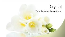  Presentation with history earth globe isolated white - Colorful presentation enhanced with rear end - crushed car from behind in backdrop and a gray colored foreground.