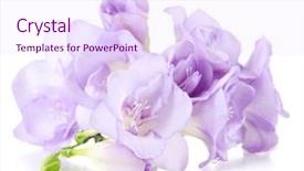  Presentation with history earth globe isolated white - Presentation with group of people doing selfie during lunch background and a dark gray colored foreground