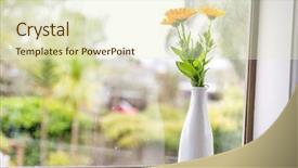  Presentation with rainy day - Colorful slide deck enhanced with beautiful fresh flowers near window on rainy day view background backdrop and a soft green colored foreground