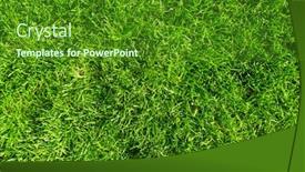  Presentation with beautiful green - Colorful theme enhanced with beautiful-fresh-green-grass backdrop and a tawny brown colored foreground