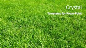  Presentation with beautiful green - Cool new theme with beautiful-fresh-green-grass backdrop and a shamrock green colored foreground