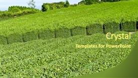  Presentation with tea japan - Amazing slide set having god count - hand with rosary isolated backdrop and a sky blue colored foreground