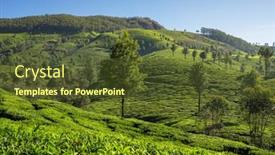  Presentation with munnar - Amazing slide deck having beautiful-fresh-green-tea-plantations backdrop and a tawny brown colored foreground