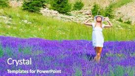  Presentation with purple flowers - Cool new slide deck with beautiful fresh lavender field purple backdrop and a  colored foreground