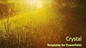  Presentation with light rays - Theme featuring beautiful fresh morning with sun background and a  colored foreground