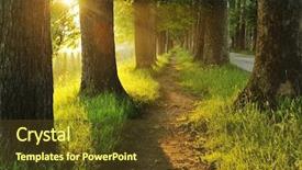  Presentation with light rays - Slides enhanced with beautiful fresh morning with sun background and a tawny brown colored foreground