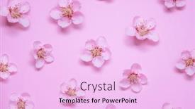  Presentation with beautiful nature - Audience pleasing PPT layouts consisting of beautiful-fresh-peach-flower-pattern backdrop and a lavender colored foreground