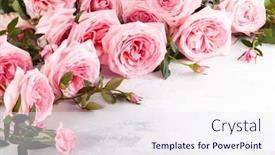  Presentation with vintage floral - Cool new presentation theme with beautiful-fresh-pink-roses-flowers backdrop and a sky blue colored foreground