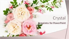  Presentation with pink roses - Slide deck enhanced with beautiful-fresh-white-and-pink background and a sky blue colored foreground