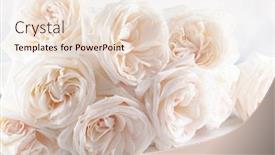  Presentation with vintage floral - Amazing presentation having beautiful-fresh-white-roses-flowers backdrop and a lemonade colored foreground