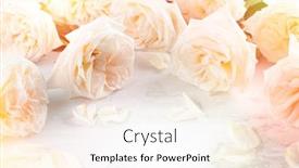  Presentation with vintage floral - Amazing presentation theme having beautiful-fresh-white-roses-flowers backdrop and a sky blue colored foreground