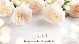  Presentation with vintage floral - Slide deck having beautiful-fresh-white-roses-flowers background and a sky blue colored foreground