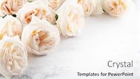  Presentation with vintage floral - Slide set featuring beautiful-fresh-white-roses-flowers background and a white colored foreground