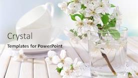  Presentation with fruit - Beautiful slide set featuring beautiful-fruit-blossom-in-glass backdrop and a lemonade colored foreground