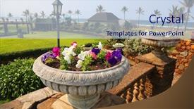  Presentation with botanical - Beautiful slide set featuring beautiful garden at the beach backdrop and a sky blue colored foreground