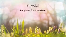  Presentation with beautiful spring flowers - Presentation design featuring beautiful garden spring flowers background and a lemonade colored foreground