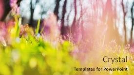  Presentation with beautiful spring flowers - Amazing PPT layouts having beautiful garden spring flowers backdrop and a yellow colored foreground