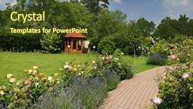  Presentation with red roses rose garden - Colorful PPT theme enhanced with beautiful garden with blooming roses backdrop and a tawny brown colored foreground