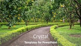  Presentation with hanoi - PPT theme having beautiful-garden-with-pomelo-trees background and a gray colored foreground