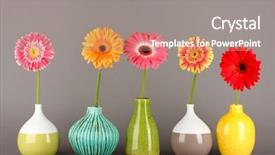  Presentation with beautiful flowers border floral design - Theme featuring beautiful gerber flowers on grey background and a gray colored foreground