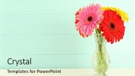  Presentation with blurred flowers - Amazing slide deck having beautiful gerbera flowers in vase backdrop and a cool aqua colored foreground