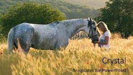  Presentation with horse food - Beautiful presentation design featuring beautiful girl and horse outdoors backdrop and a gold colored foreground