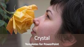  Presentation with yellow rose - Audience pleasing presentation theme consisting of beautiful girl with a yellow rose 1 backdrop and a violet colored foreground