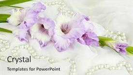  Presentation with batik fabric beautiful of art - Cool new presentation theme with beautiful gladiolus flower on white backdrop and a sky blue colored foreground