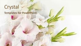  Presentation with white flowers - Presentation theme enhanced with beautiful gladiolus flowers on white background and a soft green colored foreground