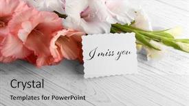  Presentation with note - Colorful presentation theme enhanced with beautiful gladiolus flowers with card backdrop and a light gray colored foreground