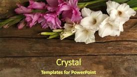  Presentation with vitamins on wooden herbal - Colorful PPT theme enhanced with beautiful gladiolus on wooden background backdrop and a tawny brown colored foreground