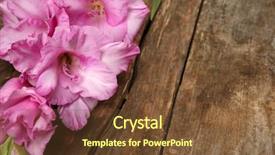  Presentation with vitamins on wooden herbal - Presentation theme consisting of beautiful gladiolus on wooden background background and a  colored foreground