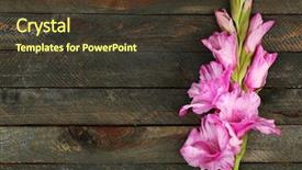  Presentation with wooden - Amazing slide set having beautiful gladiolus on wooden background backdrop and a tawny brown colored foreground