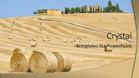  Presentation with hay field - PPT layouts featuring beautiful golden hay bales background and a coral colored foreground