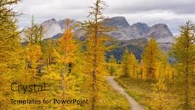  Presentation with fall mountains - Presentation theme consisting of beautiful-golden-larches-in-mountains background and a gold colored foreground
