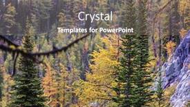  Presentation with fall mountains - Presentation design featuring beautiful-golden-larches-in-mountains background and a gray colored foreground